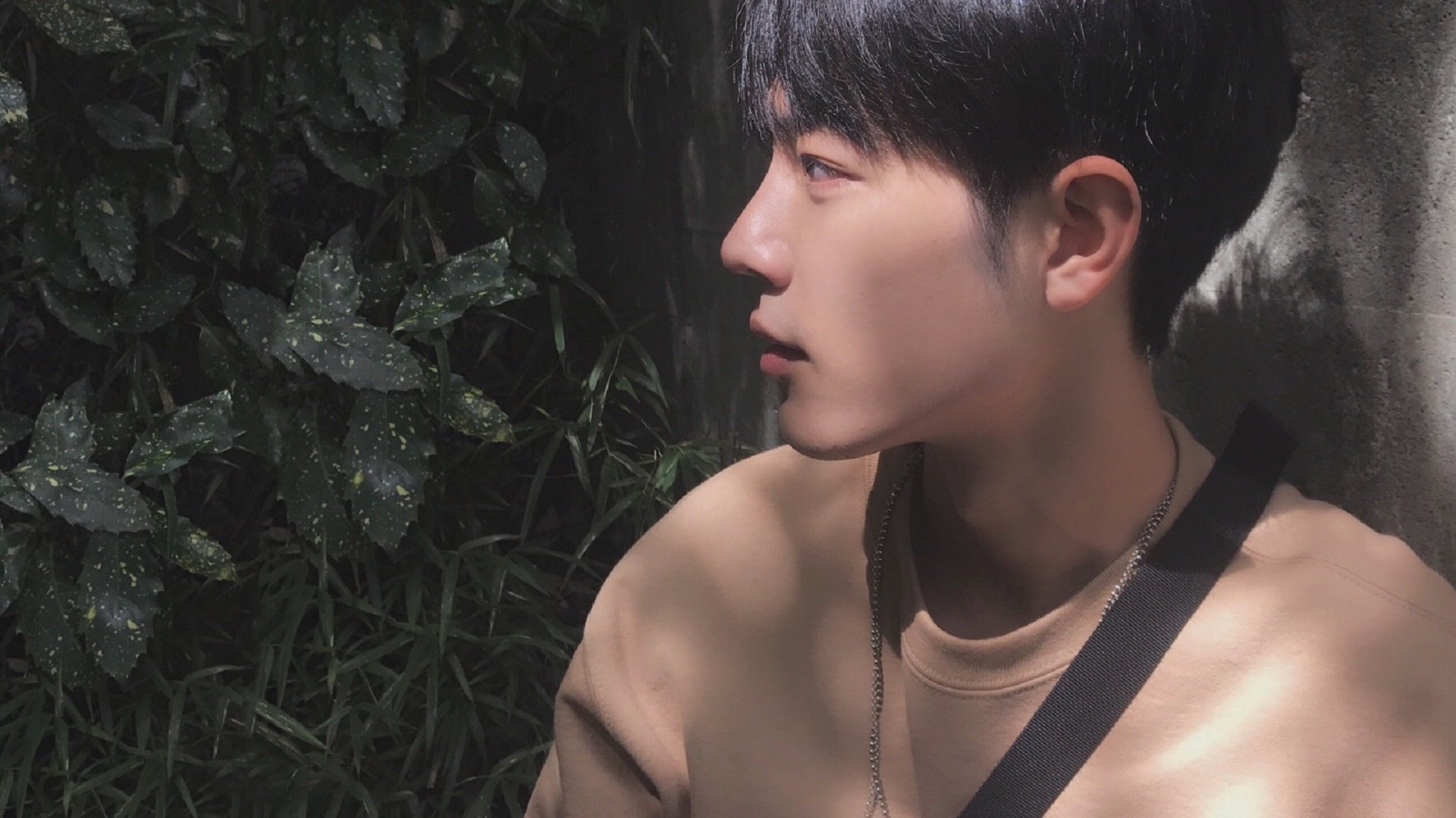 最不性感的赢法，切特·霍姆格伦，NBA赛场上的精密机器美学