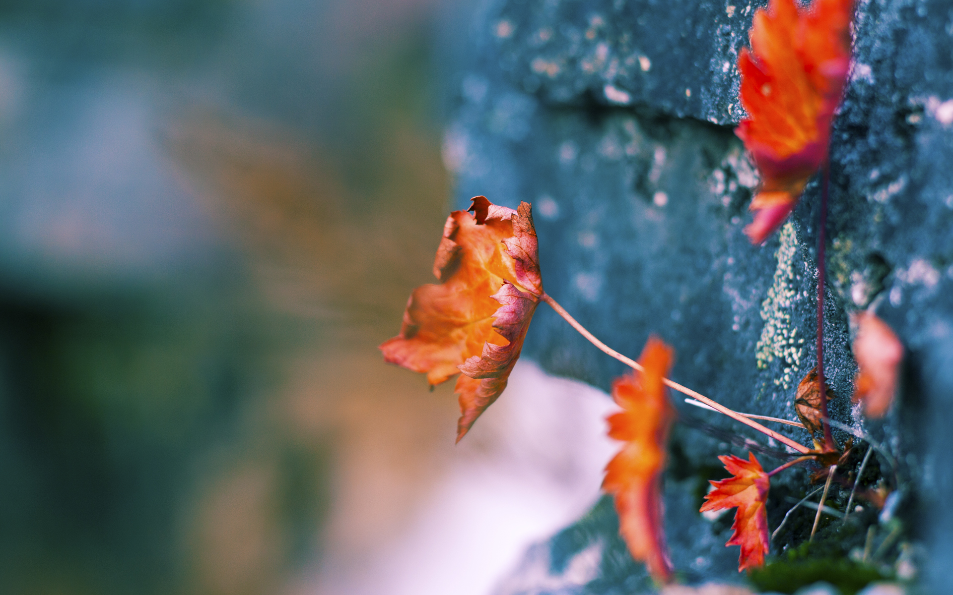 战术碾压!76人完胜灰熊,切特东决关键战化身救世主